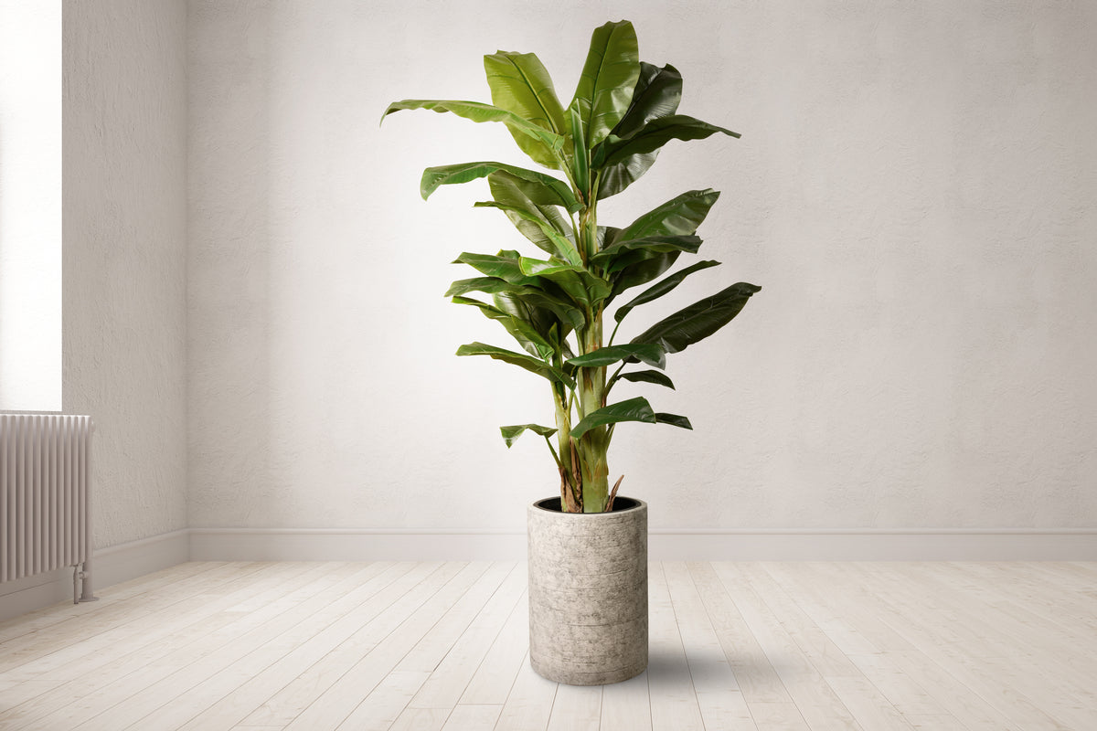 Bloomr: Finest Artificial Flowers, Plants & Fake Trees In Dubai