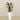 -Artificial Calathea Tree 75cm-Bloomr