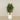 -Artificial Schefflera Tree 150cm-Bloomr