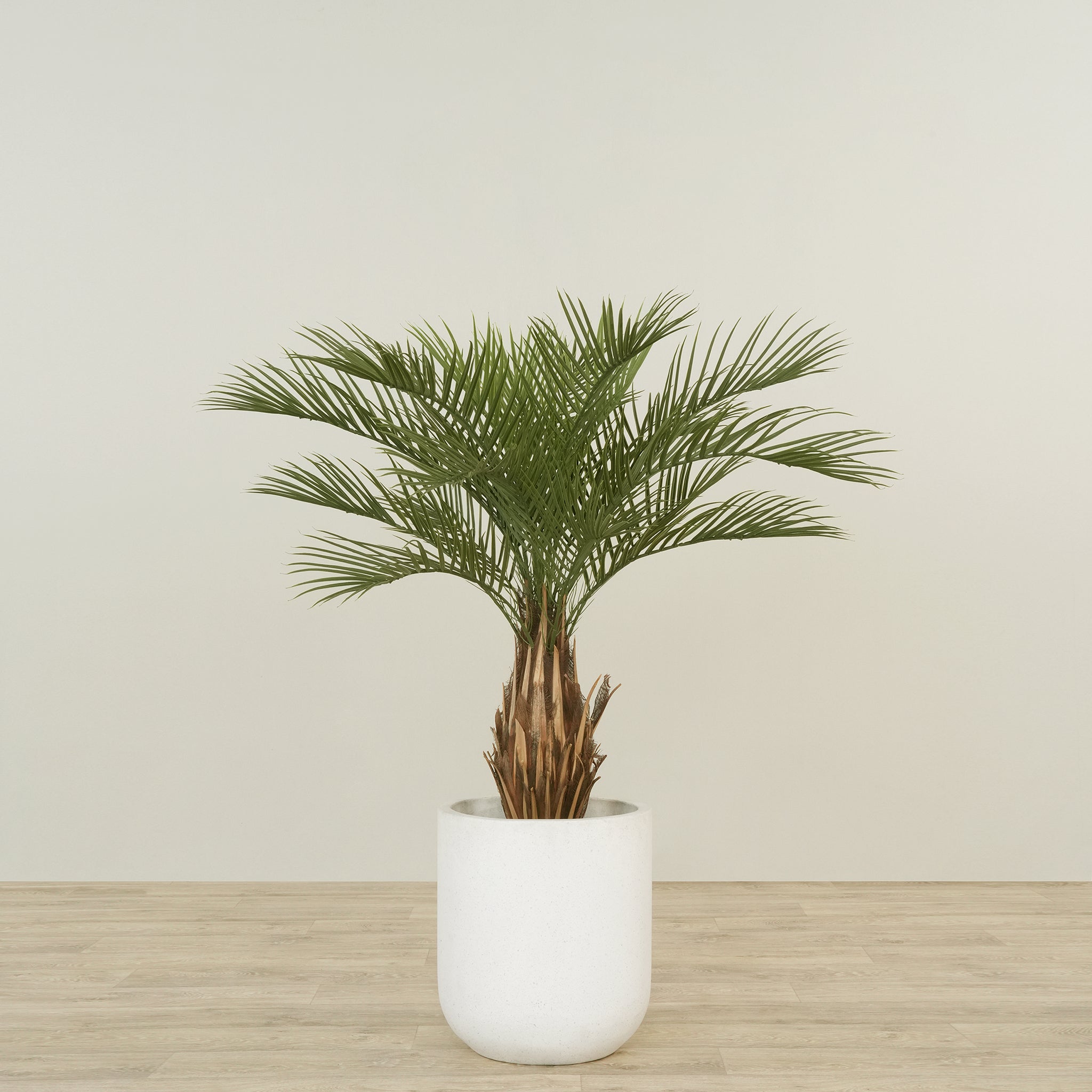 Künstliche Palme 120 cm – Bloomr