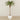 -Artificial Phoenix Palm 300cm-Bloomr