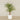-Artificial Areca Palm 210cm-Bloomr