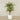 -Artificial Areca Palm Tree 240cm-Bloomr