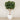 Artificial Fiddle Leaf Tree 300cm