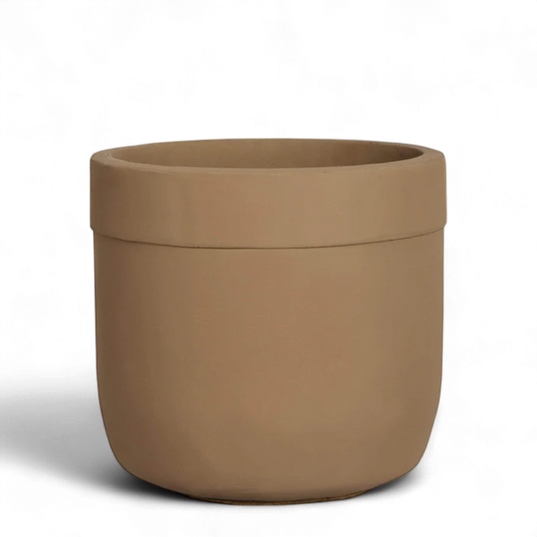 Round Cement Tree Pot - Medium