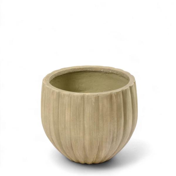 Small Round Ficonstone Tree Pot