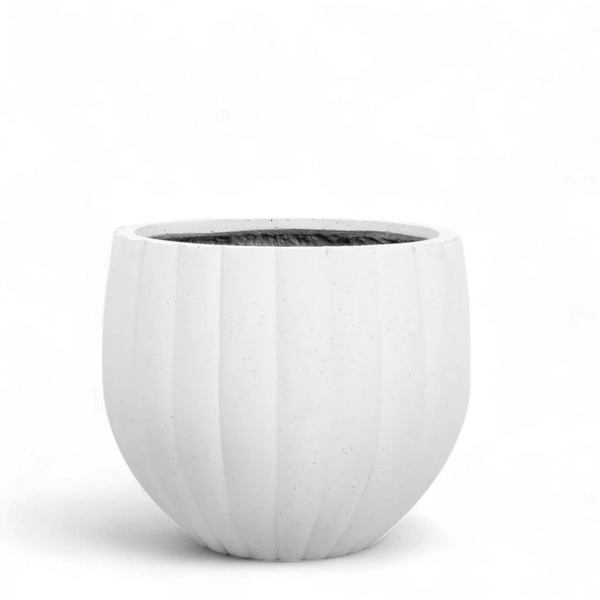 Small Round Ficonstone Tree Pot