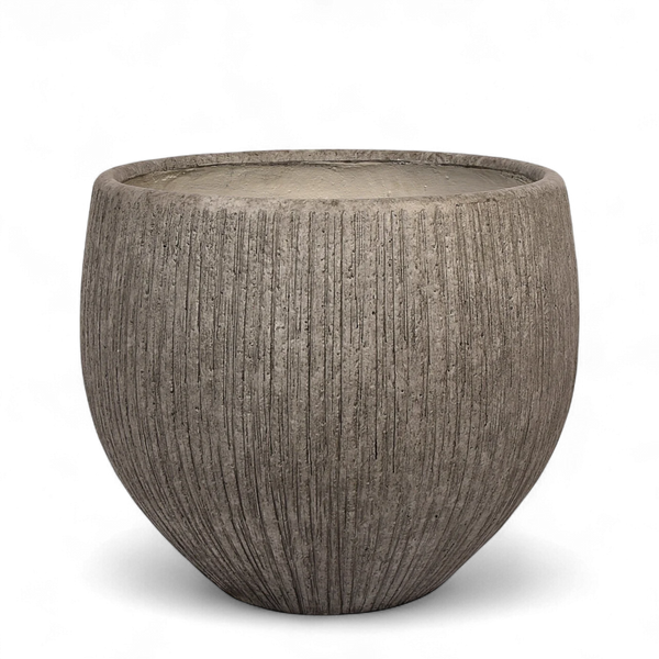 أصيص أشجار فيكونستون دائري كبير