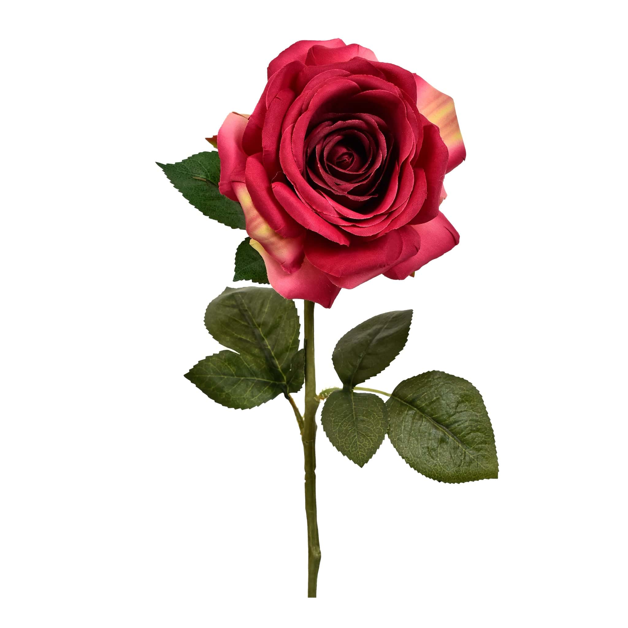 42 Roses Rose – Bloomr