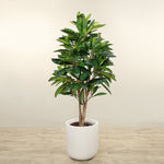 Artificial Plumeria Tree <br> 180cm - Bloomr