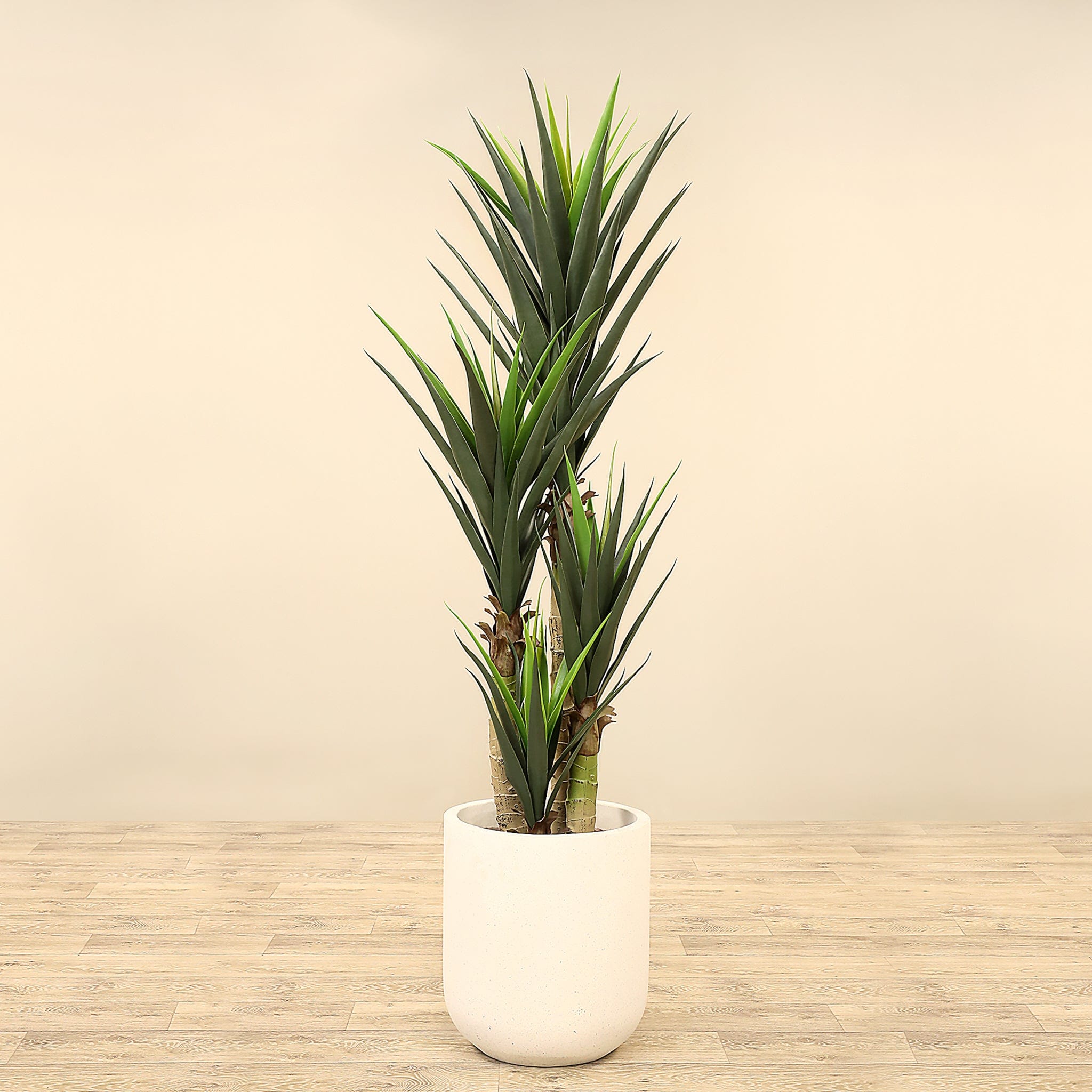 Artificial Yucca Plant 165cm Bloomr