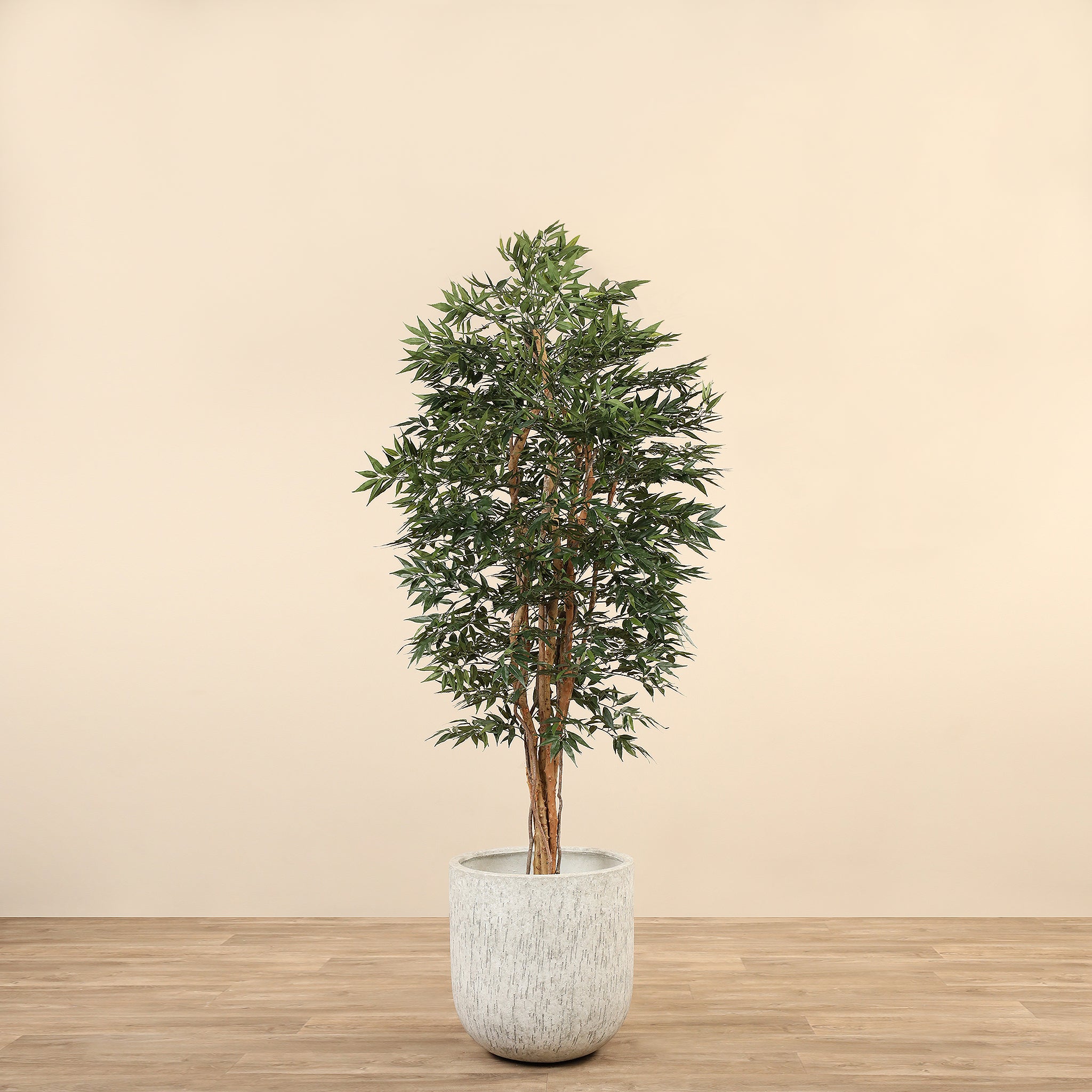 Artificial Shirakashi Tree <br> 150cm - Bloomr