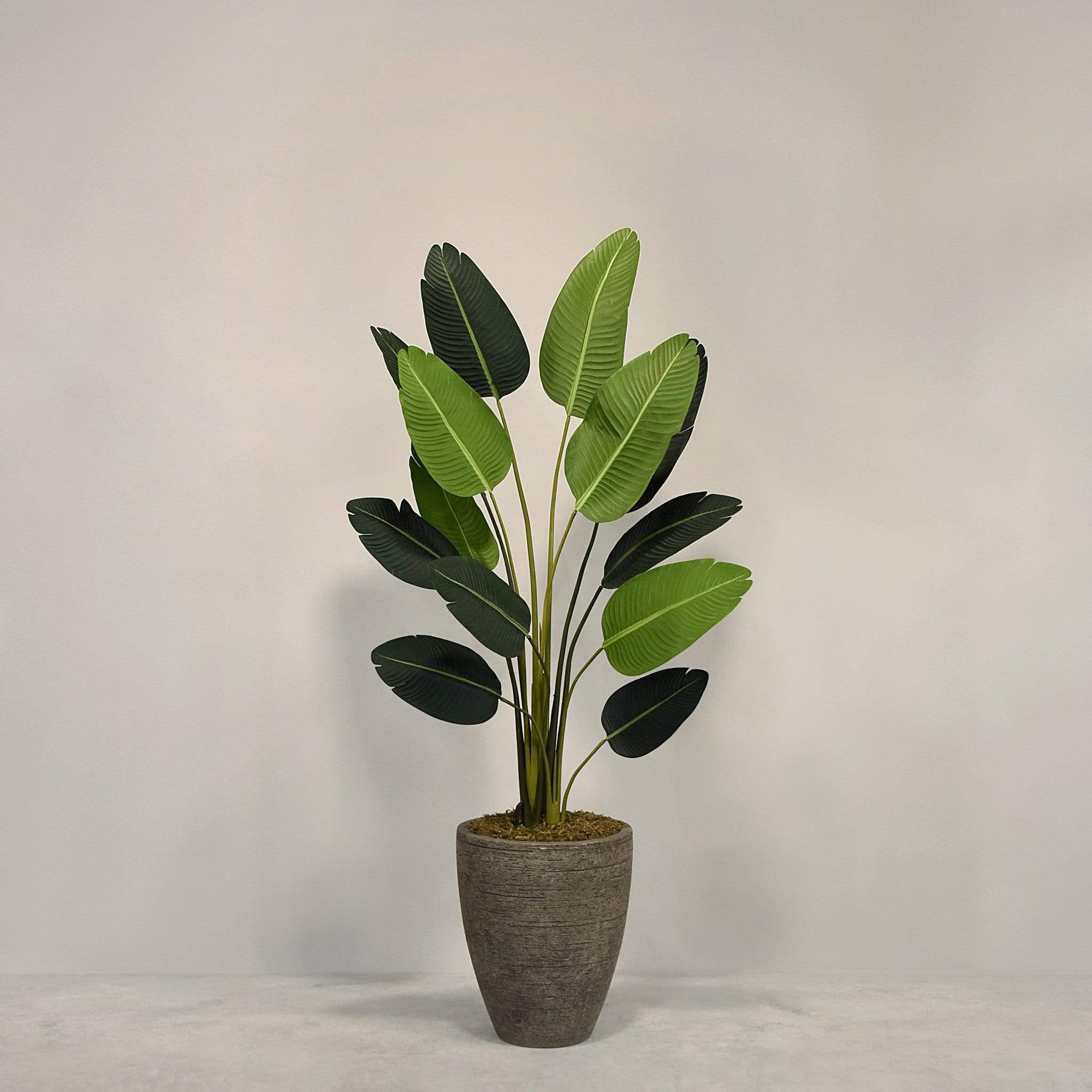 Künstliche Strelitzie mit Topf – Bloomr