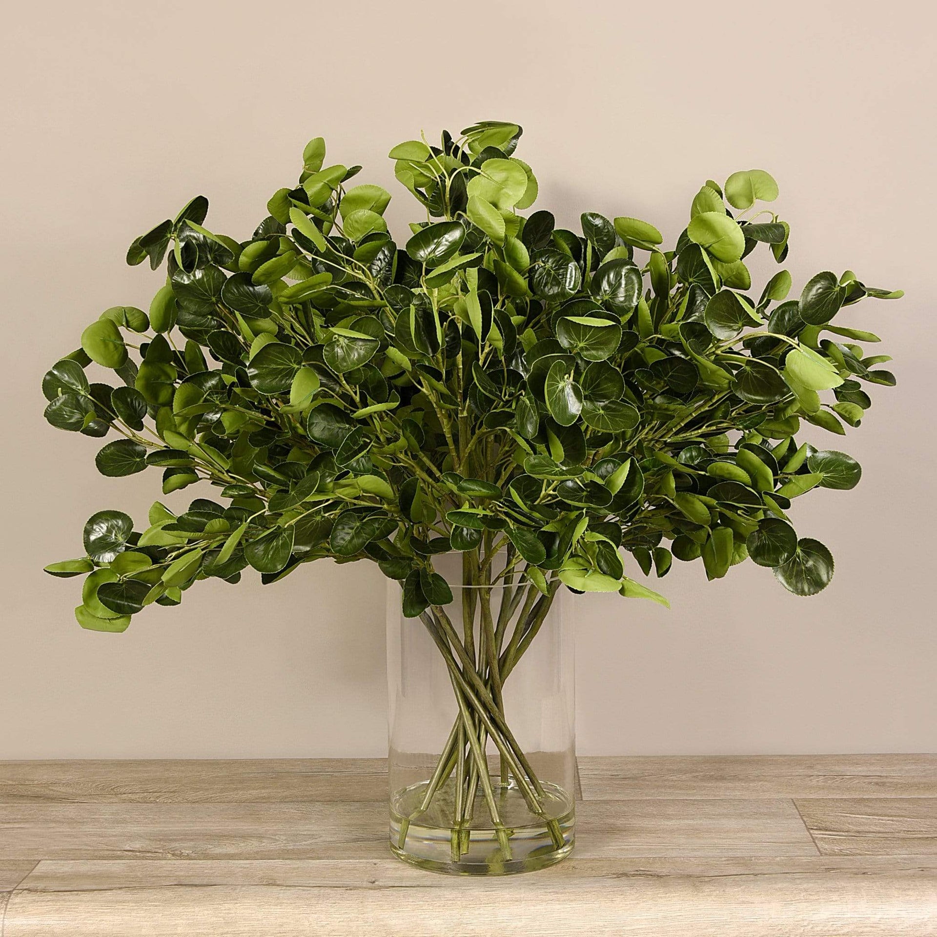 flower vase for money plant Artificial Money Plant Arrangement in Glass Vase – Bloomr