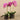Flowers-Artificial Orchid Arrangement (Discontinued)-Bloomr
