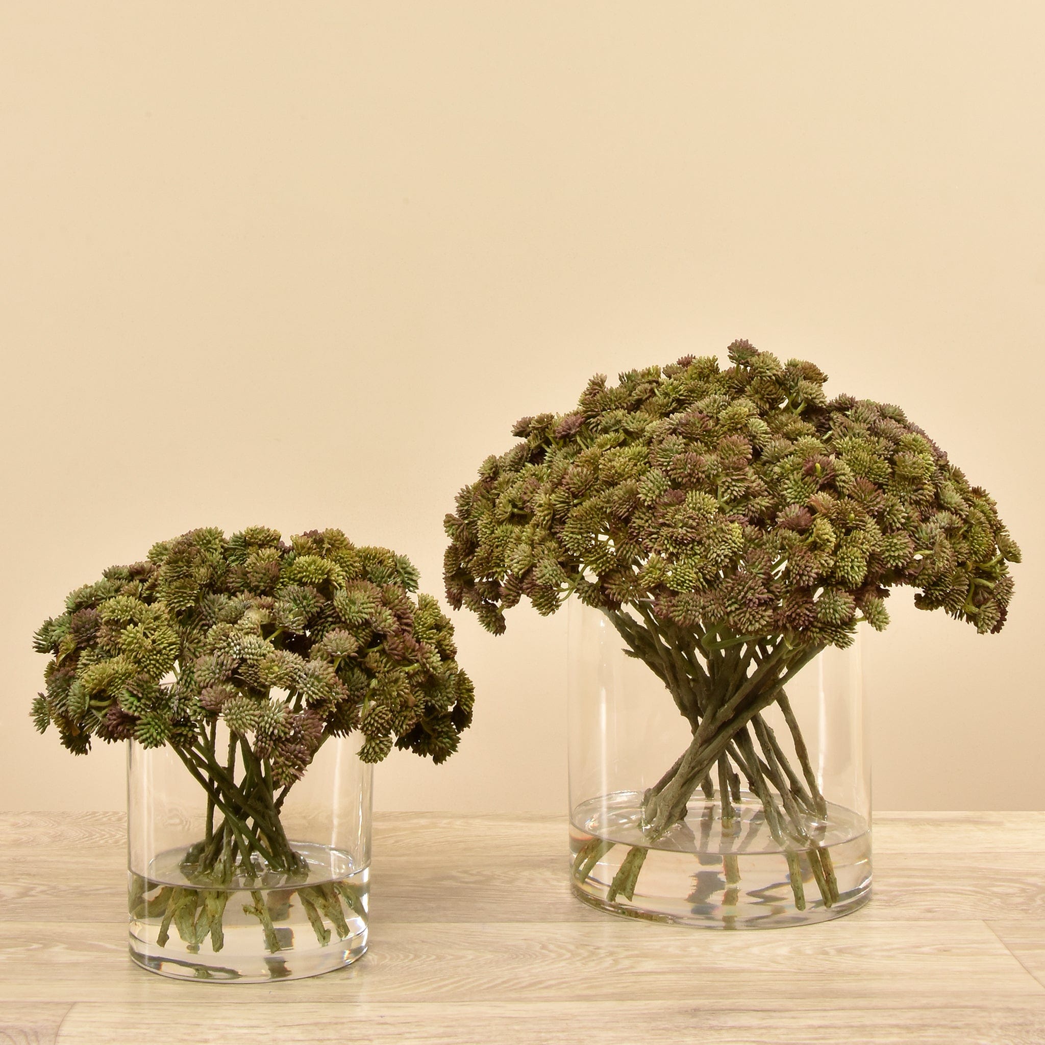 Artificial Sedum Arrangement In Glass Vase Bloomr artificial-sedum-arrangement-in-glass-vase-bloomr