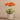 Floral Arrangement-Artificial Potted Poppy-Bloomr