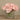 Flowers-Artificial Rose & Hydrangea Arrangement Discontinued-Bloomr