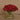 Flowers-Rose Arrangement in Glass Vase (Discontinued)-Bloomr
