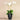 Flowers-Artificial Orchid Arrangement-Bloomr