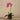 Flowers-Artificial Orchid Arrangement (Discontinued)-Bloomr
