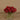 Flowers-Rose Arrangement in Glass Vase (Discontinued)-Bloomr
