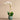 Flowers-Artificial Orchid Arrangement-Bloomr