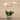 Flowers-Orchid Arrangement in Ceramic Vase (Discontinued)-Bloomr