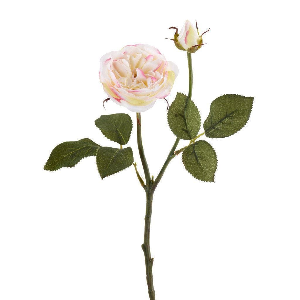 Natural Roses Faux Shop Natural Feel Faux Roses | Bloomr