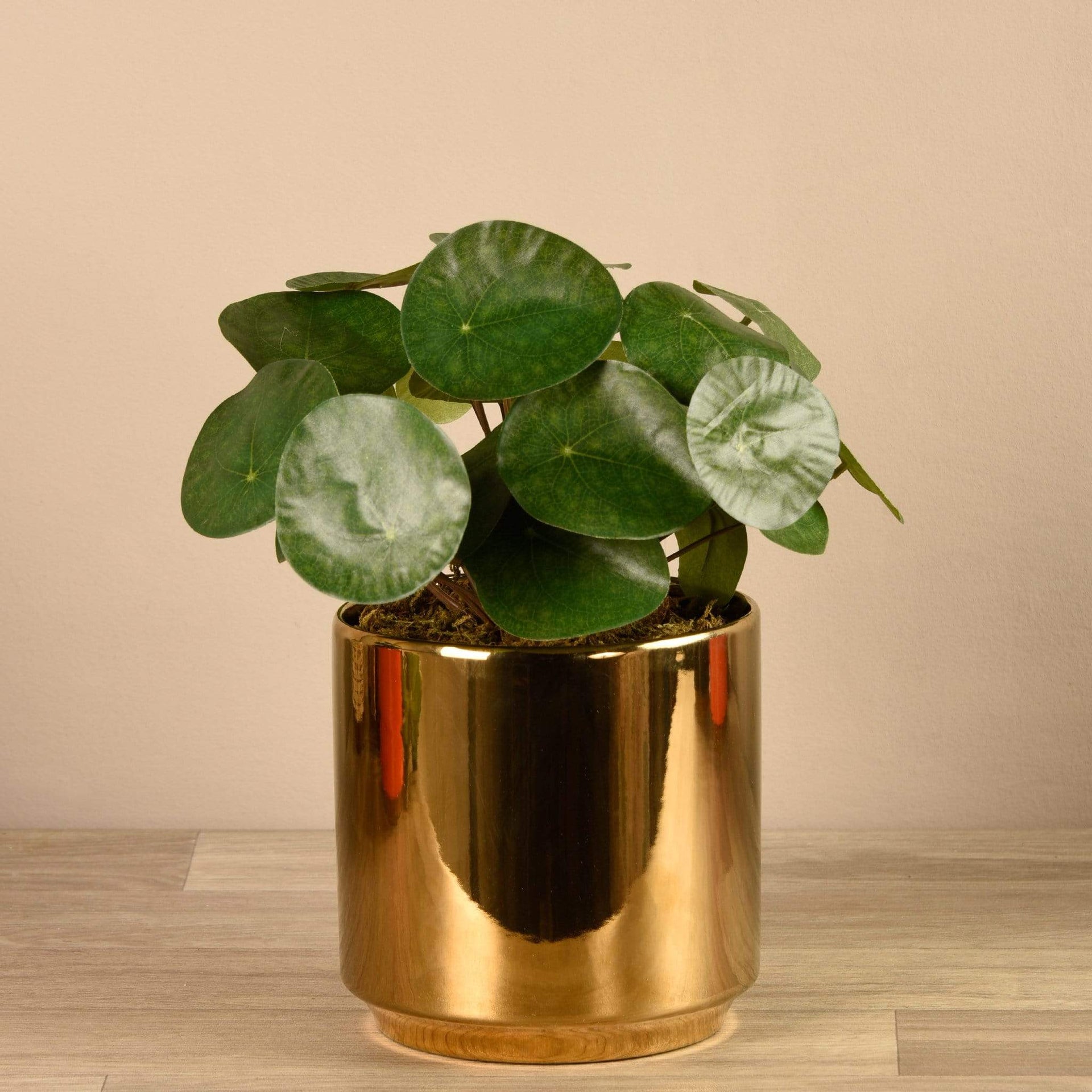 small artificial plant in gold pot Artificial Pancake Plant in Gold Pot – Bloomr