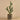 Greenery-Potted Cactus (Discontinued)-Bloomr