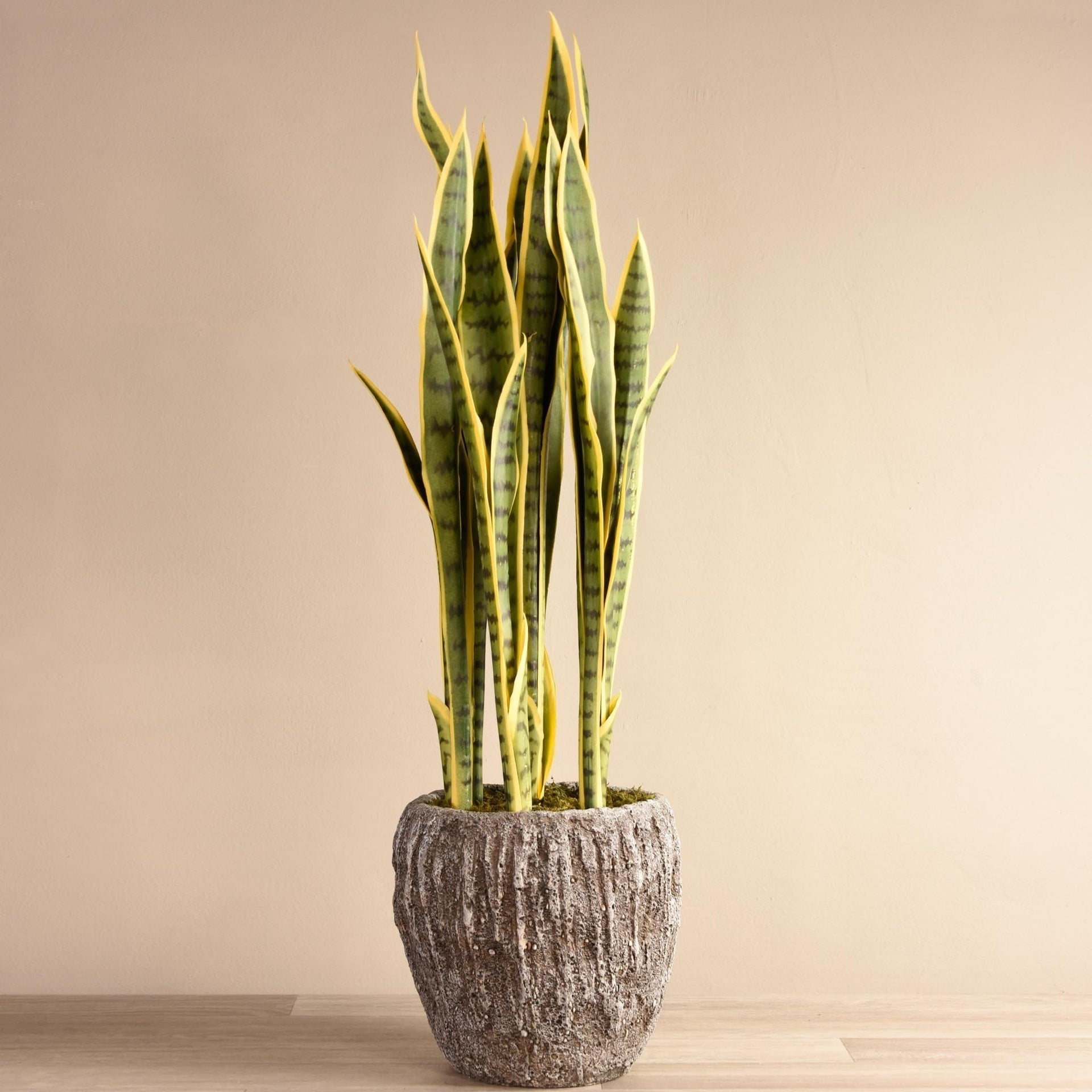 Best Faux Succulents Plants Fake Succulents Artificial Succulents
