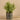 Greenery-Artificial Potted Asparagus Fern (Discontinued)-Bloomr