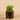 Greenery-Artificial Potted Succulent-Bloomr