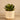 Greenery-Artificial Potted Succulent-Bloomr