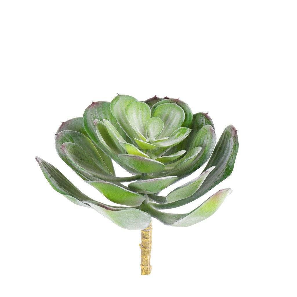 single stem succulents Premium Faux Single Stem Succulents You'll Love
