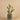Greenery-Potted Cactus (Discontinued)-Bloomr