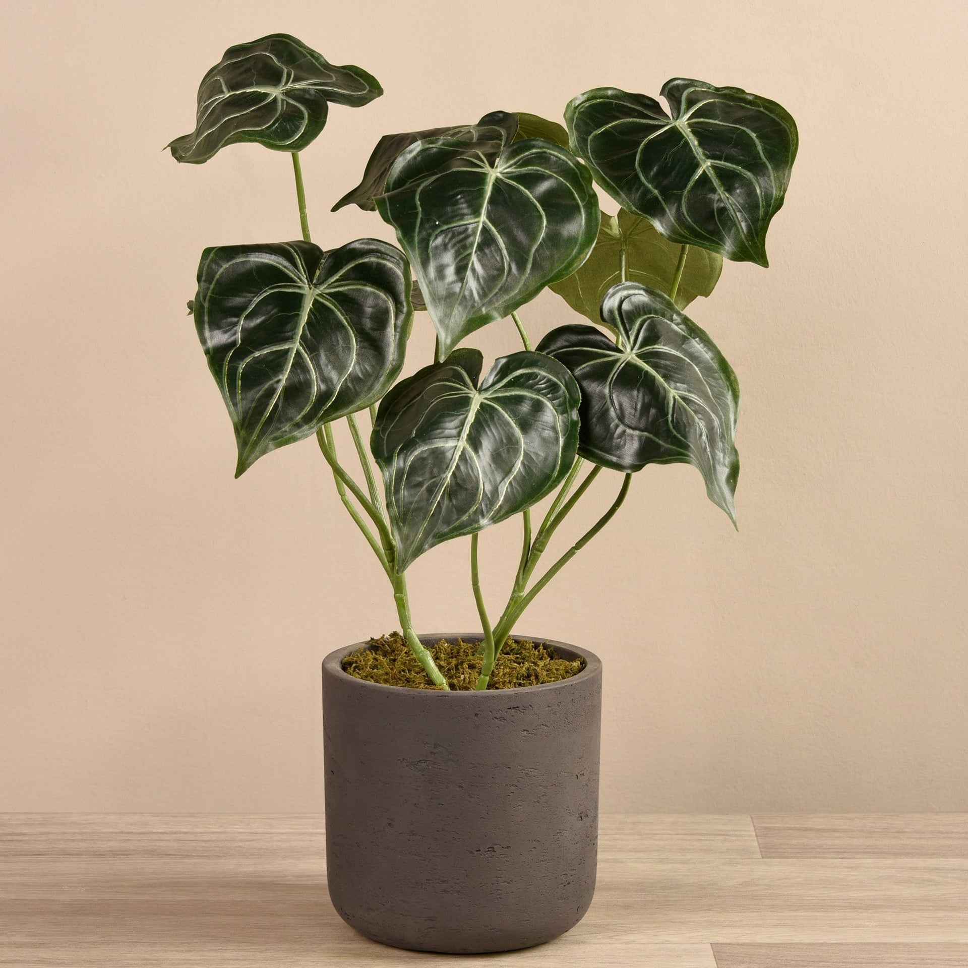 anthurium concrete Artificial Anthurium Plant in Cement Pot – Bloomr