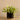 Plants-Artificial Potted Vanilla Leaf-Bloomr
