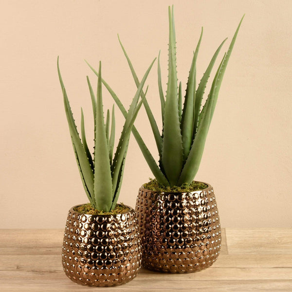 fake aloe vera plant Artificial Potted Aloe – Bloomr