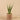 Plants-Potted Aloe (Discontinued)-Bloomr