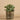 Plants-Artificial Potted Eucalyptus (Discontinued)-Bloomr