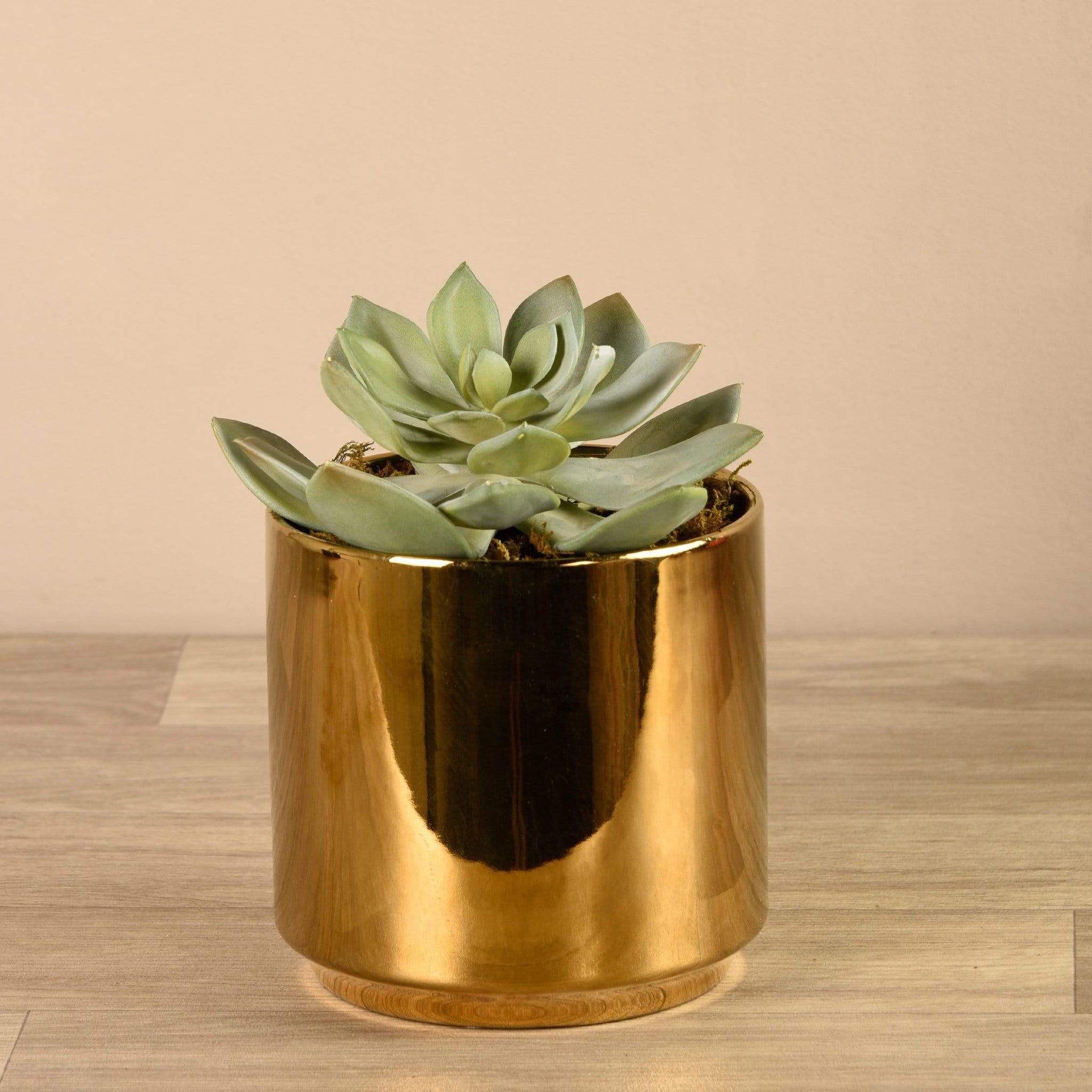 gold pot succulent Artificial Succulent in Gold Pot – Bloomr