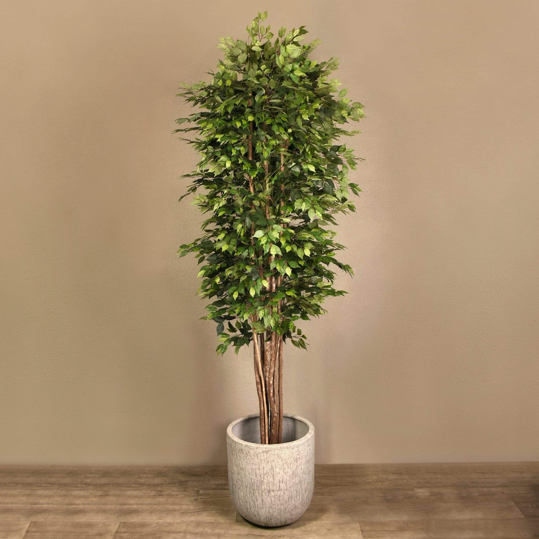 Künstlicher Ficus-Benjamin-Baum 300 cm – Bloomr