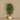 Trees-Artificial Smilax Tree 150cm-Bloomr