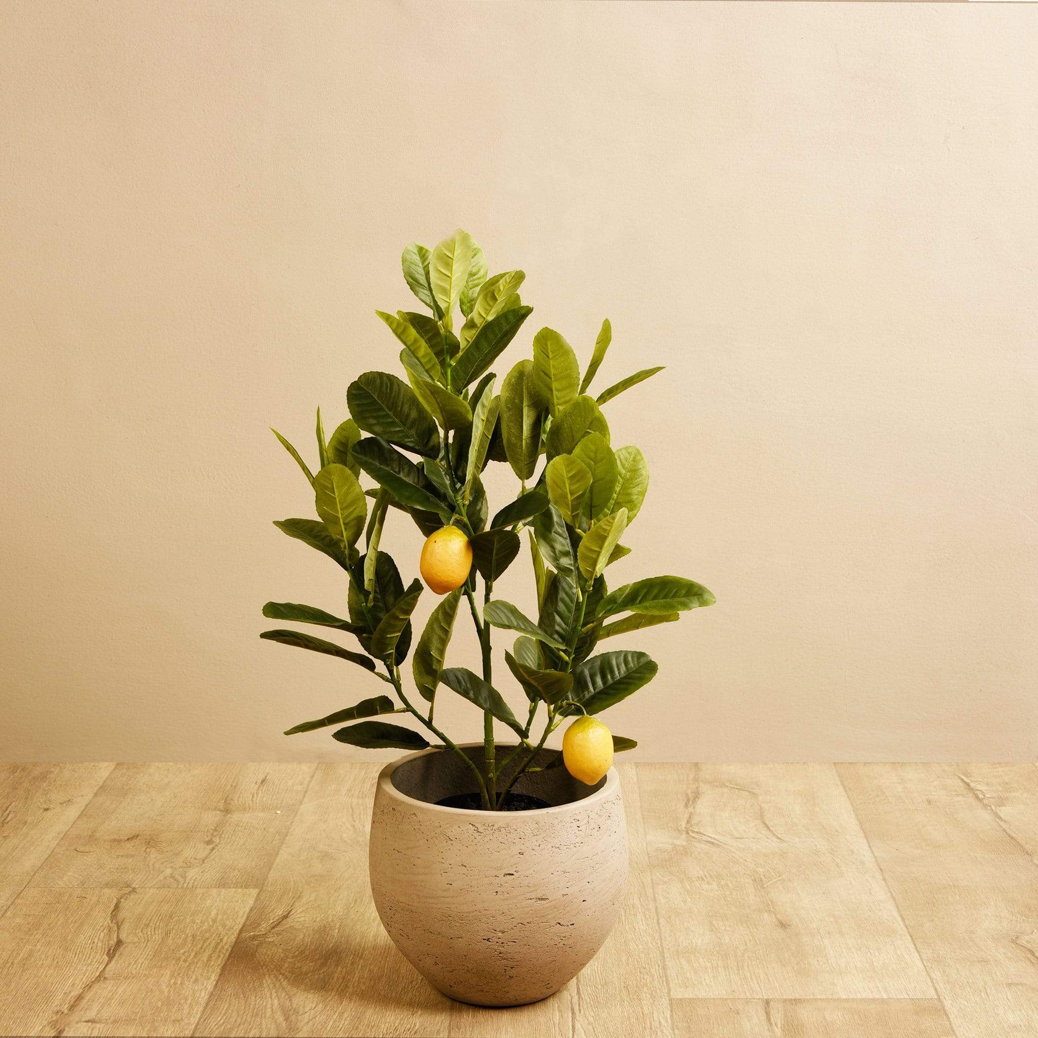 Künstlicher Zitronenbaum 60 cm – Bloomr